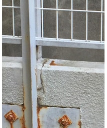 Cath Kidston | バックパック/リュック