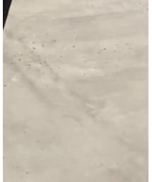 off white | スニーカー