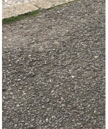 off white | スニーカー