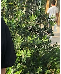 NIKE | Tシャツ/カットソー