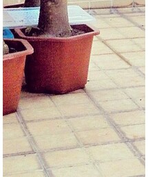 Roger Vivier | シューズ