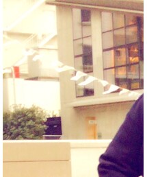 WEGO | スタジャン