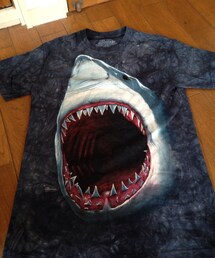 Tシャツ/カットソー