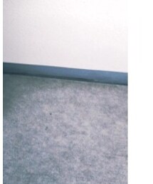 しまむら | トートバッグ