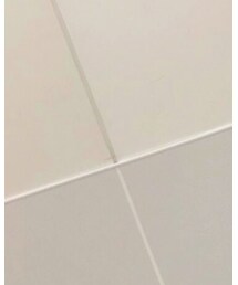 LOUIS VUITTON | トートバッグ