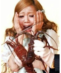 美味しい伊勢海老が食べてみたいです | その他