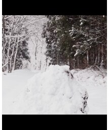 待て待て待て待てwwwwww | CD