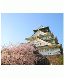 大阪城🌸 | カメラ/カメラグッズ