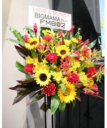 BIGMAMA行ってきた🙌🙌🙌 | カメラ/カメラグッズ