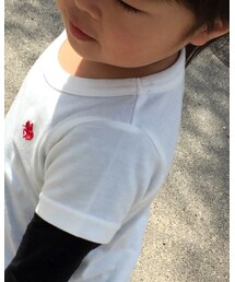 POLO | Tシャツ/カットソー