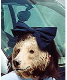 stellarhollywood | ヘアバンド