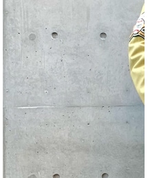 HARRIS TWEED | ベスト