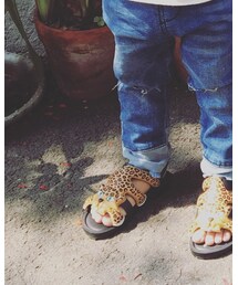 melissa | シューズ