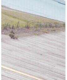 KBF | クラッチバッグ