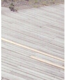 G-SHOCK | アナログ腕時計