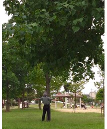 欲求不満おじいさん | ブラジャー