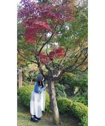 仲良くなった猫ちゃん☆ | その他