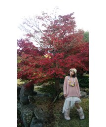 紅葉 | その他