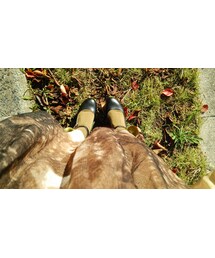 チュチュアンテナ | レッグウェア