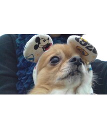 ご一緒☆ | その他