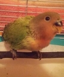 ご一緒☆③ | その他