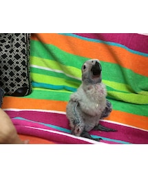 もうすぐ家族 | その他