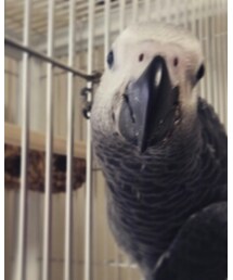 同伴② | その他