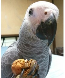 こんな感じでバキッとやりました | その他