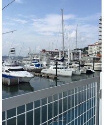 ヨットハーバー | 福袋/福箱