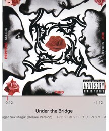RED HOT CHILI PEPPERS / Under the Bridge | CD