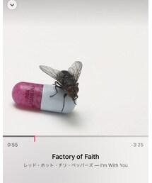 RED HOT CHILI PEPPERS / Factory of Faith | CD