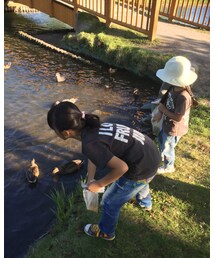 鴨餌やり | その他