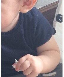 PETIT BATEAU | Tシャツ/カットソー