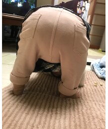 子豚ですが何か？🐷🐷🐷 | その他