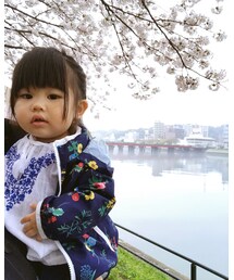 桜🌸🌸🌸 | その他