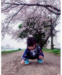 泥んこまみれ | その他