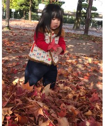 🍁 | その他