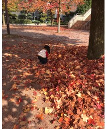 お仕事中 | その他