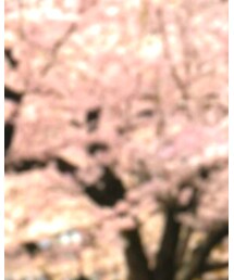 Lewis Leathers | ライダースジャケット