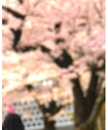 Supreme  | パーカー