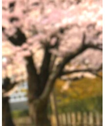 L.S.D. | ネックレス