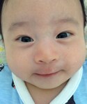 ムスコの「その他(その他)」