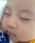 ムスコの「その他(その他)」
