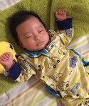ムスコの「その他(その他)」