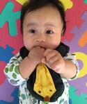 ムスコの「その他(その他)」