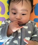 ムスコの「その他(その他)」