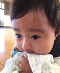 ムスコの「その他(その他)」