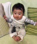 ムスコの「その他(その他)」