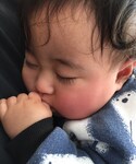 ムスコの「その他(その他)」