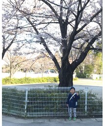 桜とそらのすけ | 保育園年中さん頑張る！(その他)